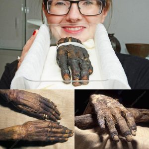 Unveiling Ancient Beauty: Mummified Hand of a 19th Dynasty Egyptian Princess Reveals Ritual Secrets.