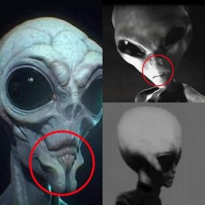 HOT: Mysteries of the Cosmos: Discovering Extraterrestrial Civilizations and Their Unique Creatures.