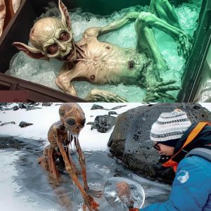 HOT NEWS: They Found Frozen In Ice What No One Was Supposed to See!