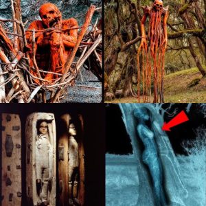 Creepy Discoveries We Still Can't Explain To This Day