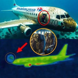 Groundbreaking Revelation: Researchers Uncover Chilling New Evidence on Malaysian Flight MH370 That Changes Everything