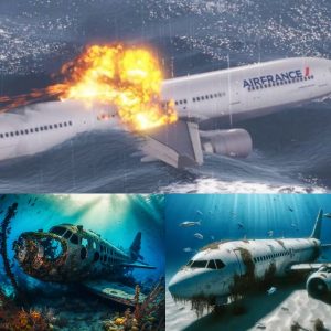 Terrifying discovery of MH370 plane exploding in the Devil's Triangle and then disappearing, leaving experts baffled and searching for answers.