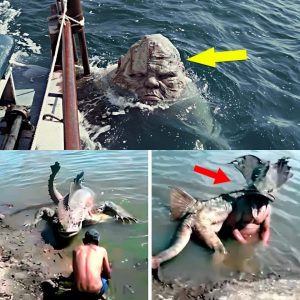 Fisherman Captured on Camera SOMETHING That Shocked the Whole World! (VIDEO)