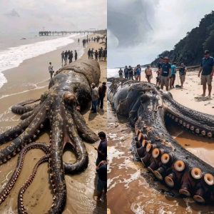 THE KRAKEN EMERGES IN INDONESIA: Giant Octopus Goes Viral on Social Media! (VIDEO)