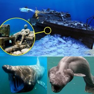 Terrifying Oceans Beneath: Hidden Depths Under the Bermuda Triangle You Won't Believe Exist..