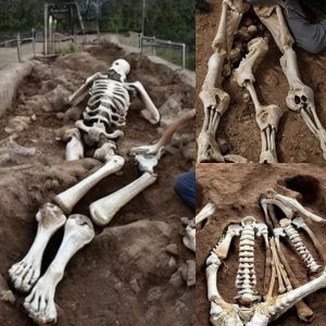 Giant Discovery: Germany Unearths 10-Foot-Tall Skeleton, Challenging Our Understanding of History..