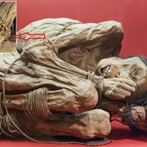 A Glimpse into a Lost Era: The Chimu Mummy's Fascinating Story