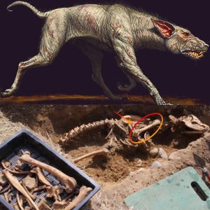 HOT NEWS: Discovered a 7-foot-tall skeleton of a hellhound relic that died 10 million years ago near an ancient monastery..