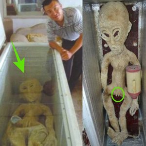 HOT: The Alien Enigma: Unveiling the Mysterious Body Found in a Strange Box from 1945!