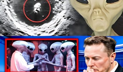 Behind the Mysteries of the White Face: Elon Musk R3veals the Moon Is Not What We’ve Heard!