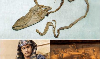 3,000-Year-Old Condom Found in the Tomb of a Famous Ancient Egyptian King