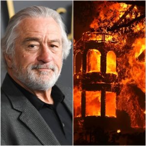 BREAKING NEWS: Robert De Niro's Los Angeles mansion burned down in a wildfire, causing hundreds of millions of dollars in damage