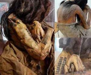 A 1,700-Year-Old Tattooed Female Mummy Found in Peru: A Remarkable Discovery into Ancient Andean Culture