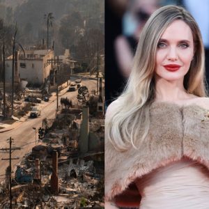 Angelina Jolie had just donated $20 million when she had an accident while helping victims of the Los Angeles wildfire. In the black ash, she accidentally slipped into a deep hole and encountered…