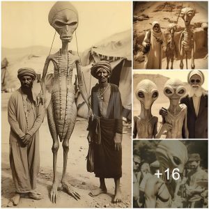 Revealing the Roswell Secrets: Proof of Extraterrestrial Existence