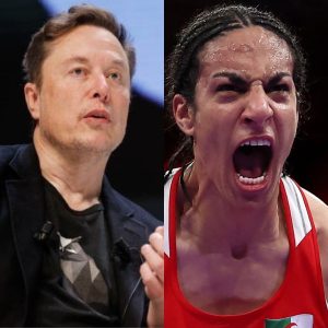 BREAKING: Elon Musk decides to withdraw support for WBO programs unless Imane Khelif's medal and $25 million bonus are revokedRe