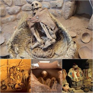 Guardians of the Past: Ancient Warrior Mummies Grace the Halls of the Archaeological Museum on the Journey to Puno.