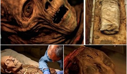 "Forbidden Find: The Terrible Mystery Hidden in the Sarcophagus of a 3,500-Year-Old Mummy in Egypt"