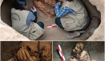 Mystical Pre-Incan Mummy Discovered in Peru: Unveiling Ancient Funeral Traditions