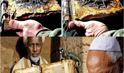 500 Year Old ILLEGAL Ethiopian Bible Reveals Terrifying Knowledge About Human Race