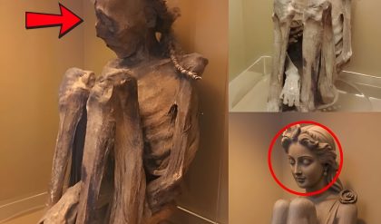 Shocking Revelation: Dark Secrets of the Mummy from the National Museum of Rio de Janeiro Uncovered