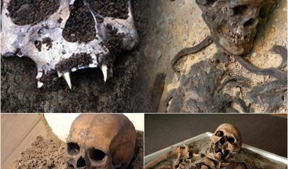 The terrifying mystery surrounding the skeleton of an Irish vampire with nails embedded in its skull.