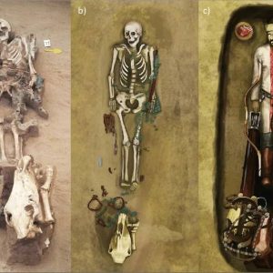 Tomb Number 11: Uncovering the Mysteries of Culture and Society in the Age of the Hungarian Conquest