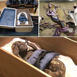 Are Mermaids Real? Strange Skeletons Stir Up the Online Community!