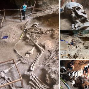 Mystery Of Giant Skeleton Fighting Python In Thai Cave Solved?