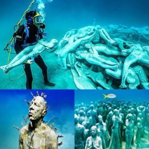 The ‘Airplane Cemetery’ Beneath the Ocean: Discovering the Hidden Stories of American Aviation