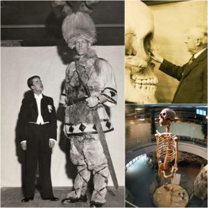 Skeletons of Giants and Mysterious Swimmers in Lake Issik Kul: Supernatural Discoveries in the USSR!