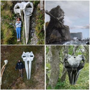 Turkish Coast’s Giant Skull: Medieval Spears Nearby