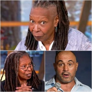 FOX NEWS SHOCKER: Joe Rogan DROPS THE HAMMER on Whoopi Goldberg After Her Unsubstantiated Allegations Against Elon Musk—“You Can’t Just Say Whatever You Want!” The Explosive Media Showdown That Sparked a Defamation Lawsuit, Backlash, and a Call for Accountability in Today’s Media World.