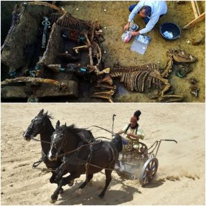 Roman chariot was equipped with 2 horses, spanning over 1,700 years ago as part of ‘ritual for wealthy family’ found in Croatia