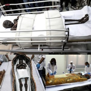 Historic Egyptian mummies removed from their coffins spark fears of ‘Curse of the Pharaohs’