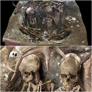 The Unfortunate Ladies of Téviec: Unearthed After 6500 Years in a Makeshift Casket of Sea Shells and Antlers
