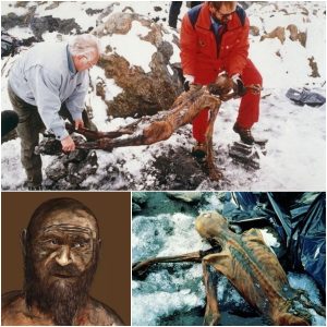 Breaking News: The Astonishing Revelation of Ötzi the Iceman, the Oldest and Most Enigmatic Mummy in Human History, Unlocking Secrets from Over 5,000 Years Ago!