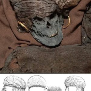 Unveiling the Enigmatic Skrydstrup Woman: Delving into Denmark’s Bronze Age Elite