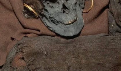 Unveiling the Enigmatic Skrydstrup Woman: Delving into Denmark’s Bronze Age Elite