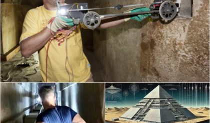 Archaeologists FOUND a locked room inside Egypt’s Great Pyramid that had never been opened, and then THIS happened.
