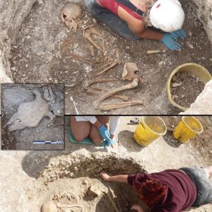 Genomic Research Uncovers Women’s Pivotal Role in the Social Fabric of Celtic Britain