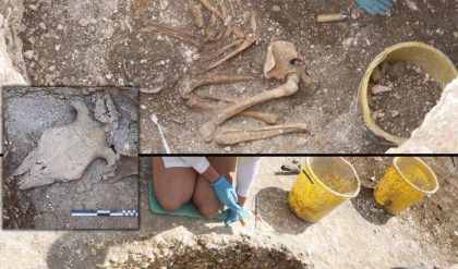 Genomic Research Uncovers Women’s Pivotal Role in the Social Fabric of Celtic Britain