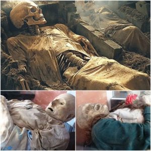 The Maiden of Llullaillaco: A 500-year-old Inca sacrificial remnant discovered in the Andes