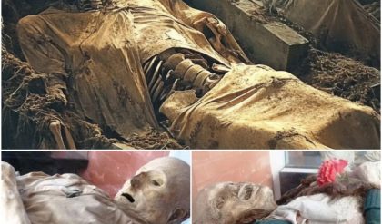 The Maiden of Llullaillaco: A 500-year-old Inca sacrificial remnant discovered in the Andes