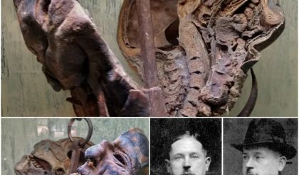 Peter Kurten's Head: A Chilling Moment in Ripley's Believe It or Not!